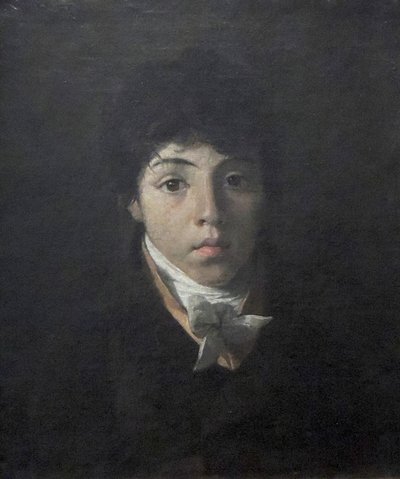 Portrait of the Young Teodoro Taunay by Nicolas Antoine Taunay